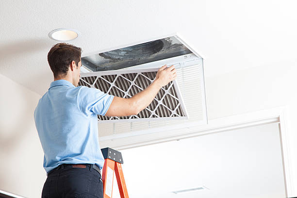 Best Air Filters and Purifiers in Manito, IL